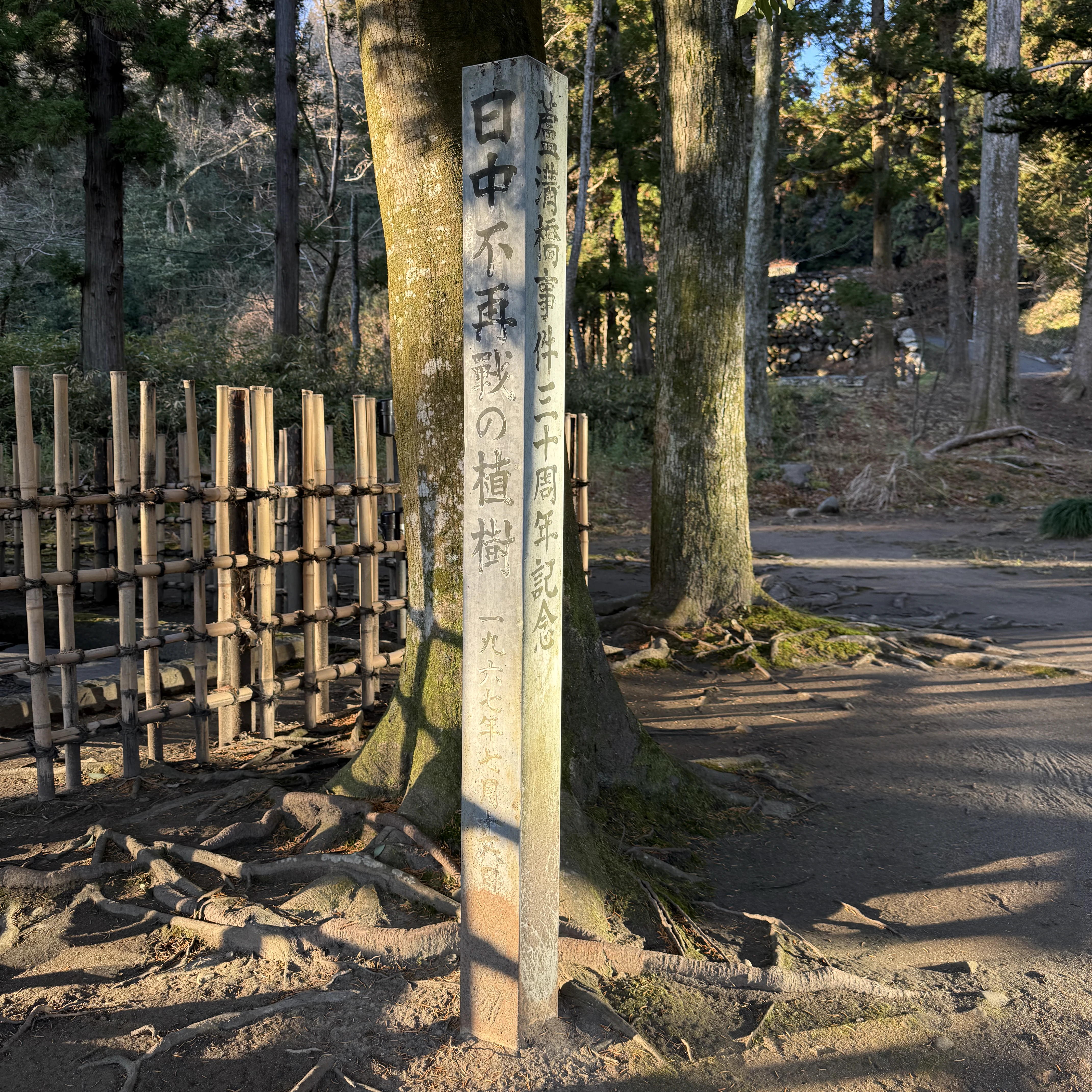 「日中不再戦の植樹」