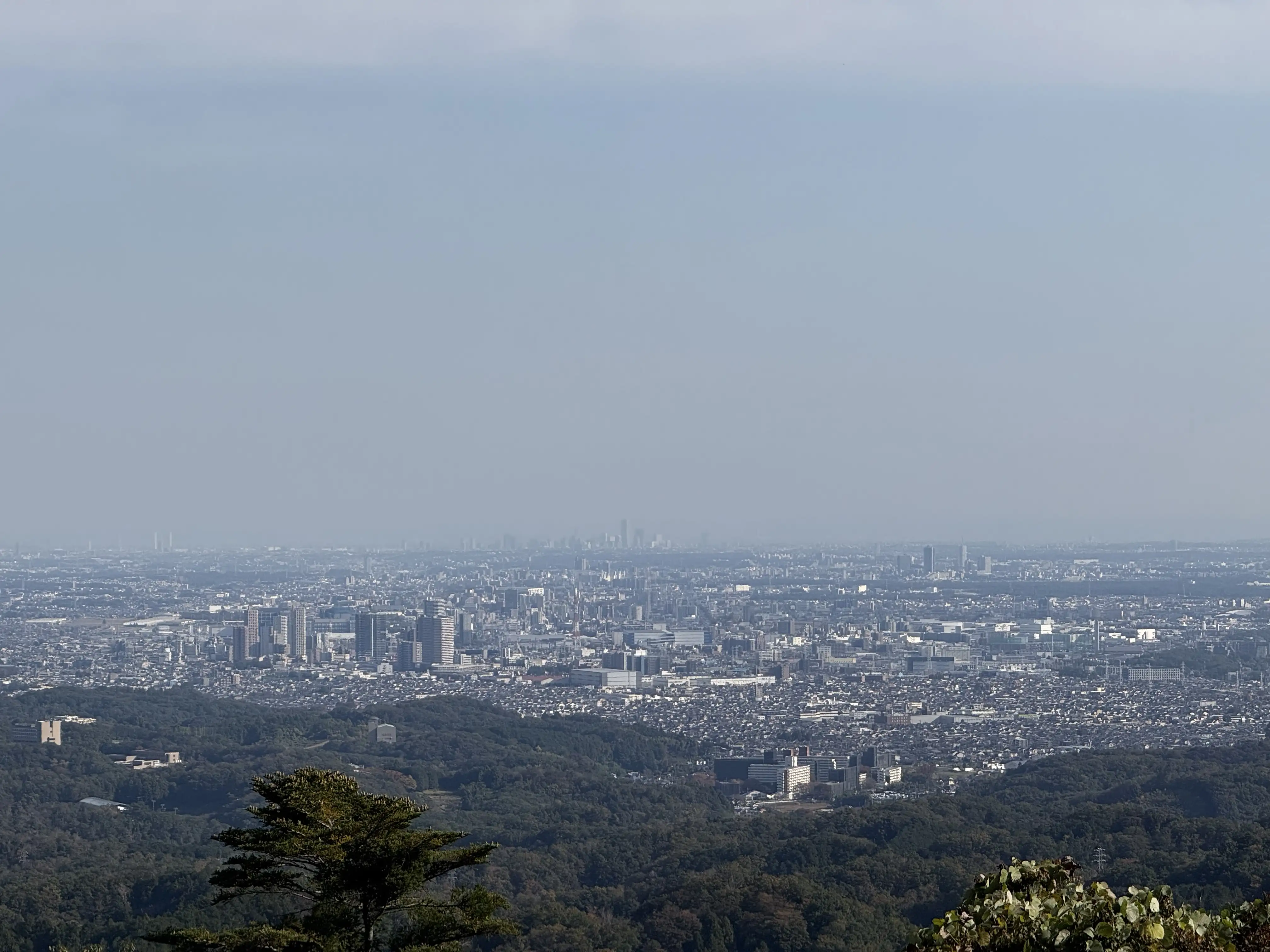 高尾山から東京が見えました